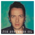 joe strummer - ローズ・オブ・エリン