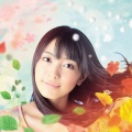 miwa - Shan Ran Ran (TVSize)