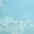 夏／秋