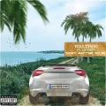 Laydee V、Waltdog - Don't Matter To Me (Explicit)