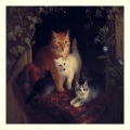 Cat Music、Music For Cats、Cats Music Zone - Puerta Abierta