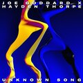 joe goddard、Hayden Thorpe - Unknown Song