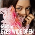 jake shimabukuro、MiChi - Journey