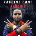 Paccino Gang - Intro
