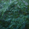 Ashley Smith、Gardener Slipstream、Cosmo Licks、Specialty Disciples、Dolce Tech - Serbia End