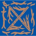 X JAPAN - 紅