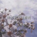 幕歌 - 赤道留不住的雪花