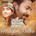 Asrayam Nidhe (From 