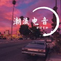 祁闻冥轩 - 潮流电音 (DJ版)