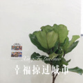 小钱 - April Encounter