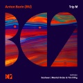 Anton Borin - Pluton