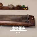 史云龙 - 滚滚长江东逝水 (古琴版)