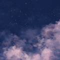 衫十 - flower