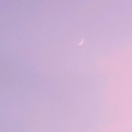 桃yuyu - 月光