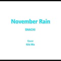Z.one - November Rain