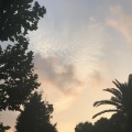 筱斯 - 平行不交叉