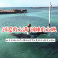 颜总、轩奕、小可、圈妹、Dawin、夏松林、女王瑶瑶 - 何为伴侣