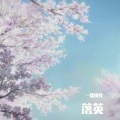 一棵枫桦 - 落英