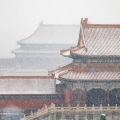 应宁Ryan - 九万字