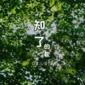 知了的歌