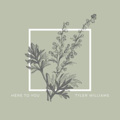Tyler Brown Williams - Here to You