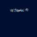 SY栋 - Flower