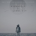 Aou - Novo Amor-Carry You (Aou remix)