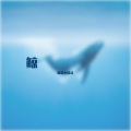 呱呱小精灵 - whale