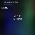 TnZexxsadboi - 杨和苏KeyNG-小丑女 (TZ Remix)(TnZexx remix)
