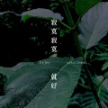 戴其昌 - 寂寞寂寞就好