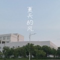 戴其昌 - 夏天的风