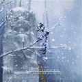 静静、VLen - 霜雪千年