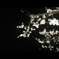 偲雯 - 停格