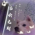 西咪替丁、夹＿zZ - 后会无期
