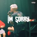 Pollari - I'm Sorry!