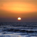 NABI - free wave