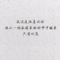 伶然而行 - 喜欢你