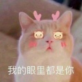 Evelyn-艺惟 - 喜欢你