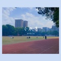 都叫我芹菜 - 小欢喜