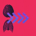 AMV Beats、BDM México、Night Drive Avenue、Ashley Stevens、Sour Files - Wired Lounge