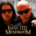 Gravity Waves (Infected Mushroom Remix)