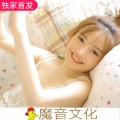 彭文、花叔 - 在下只是一个浪子
