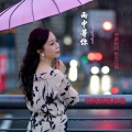 杜长江 - 雨中等你