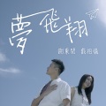 谢东闵、戴祖仪 - 梦飞翔