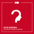 Acid Enigma - Elevated Conciousness