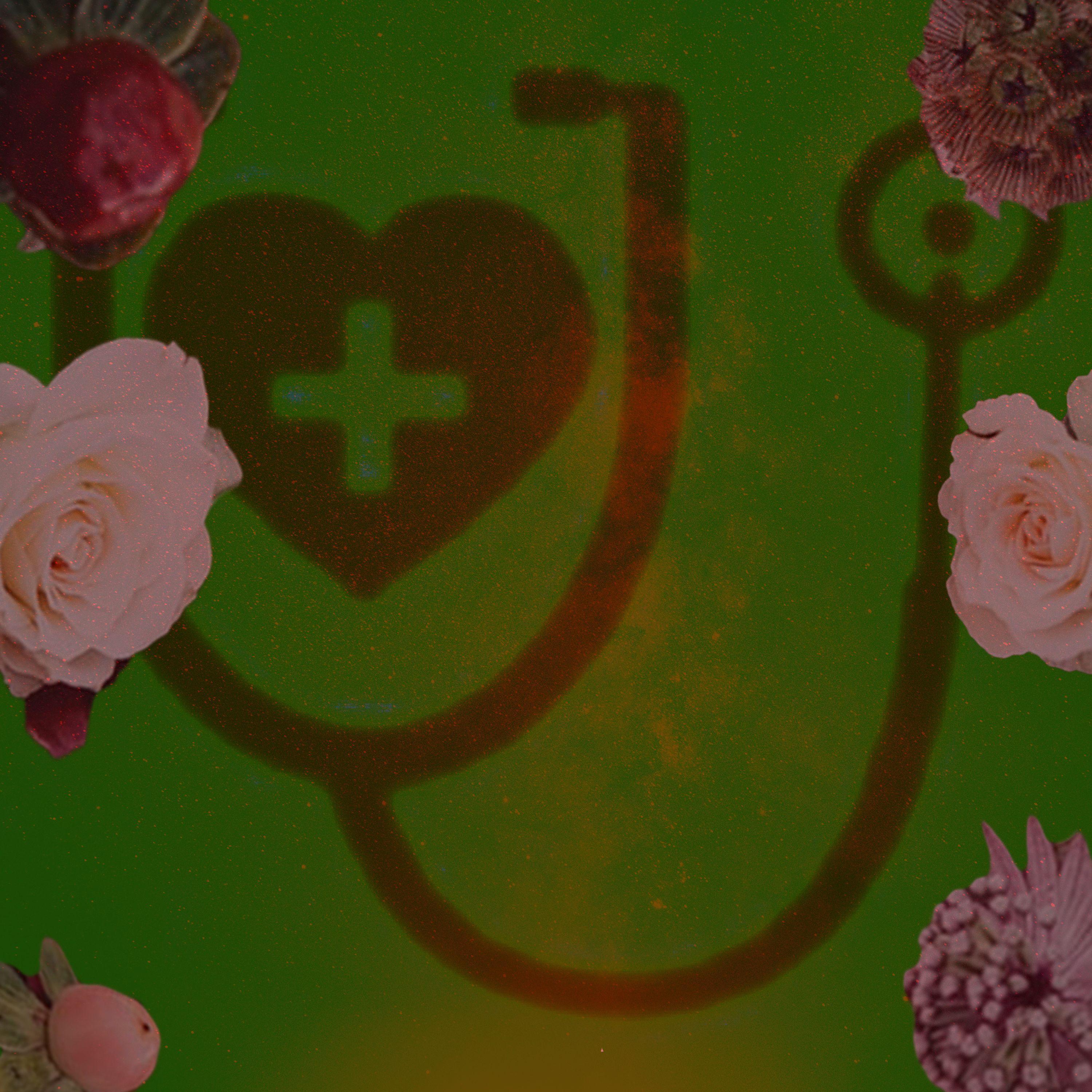 Rachel Kennedy、Breeze Gardens、Evergreen Cleaners、Solitary Pharmacist、Tonic Multimedia - Friendly Movement