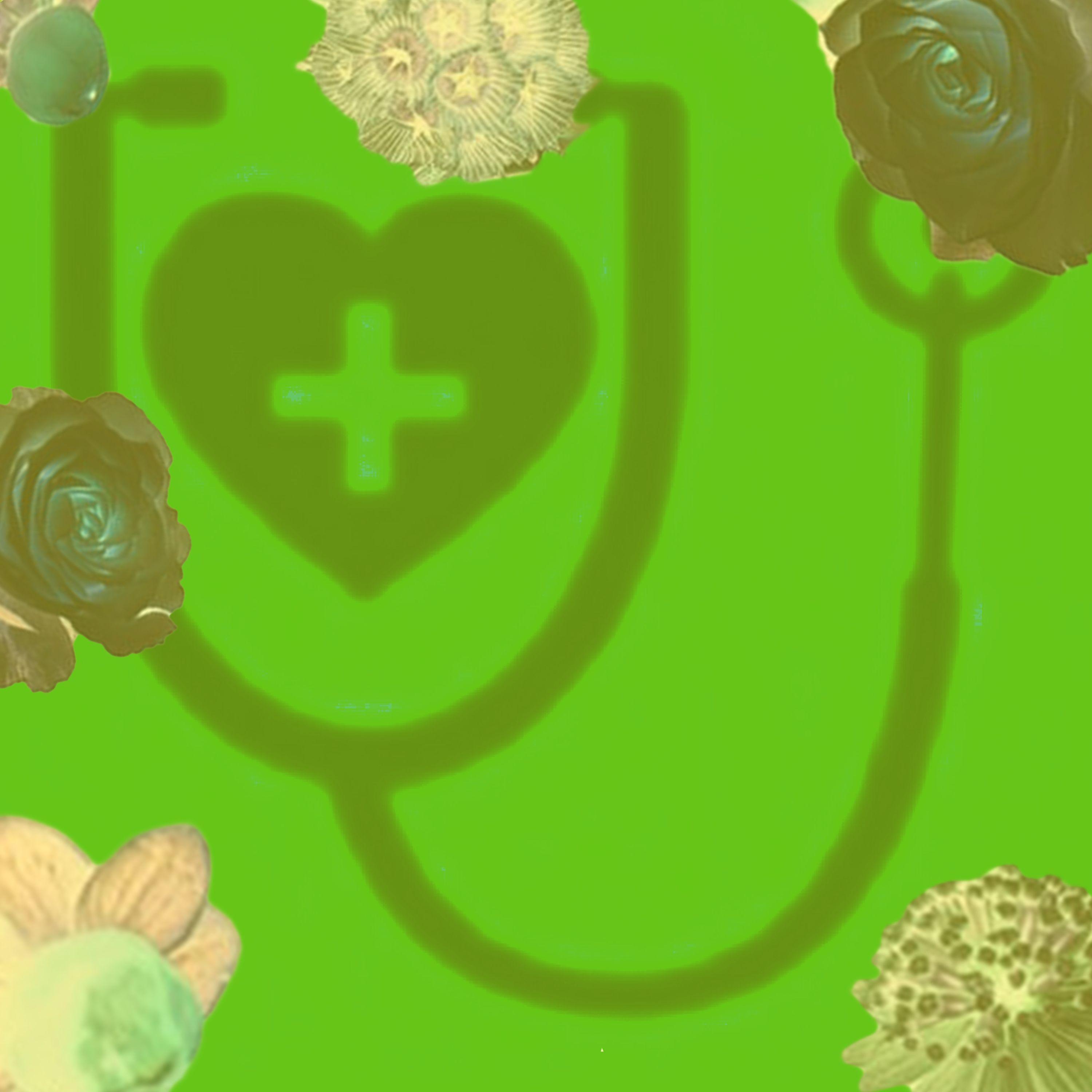 Rachel Kennedy、Breeze Gardens、Evergreen Cleaners、Solitary Pharmacist、Tonic Multimedia - Cathedral Movement