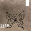 曲琪小饼干 - 今晚不睡