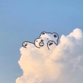 狸尢 - COCO