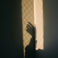 Lauren Chen - My Sunset